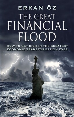 The Great Financial Flood - Şira Yayınları