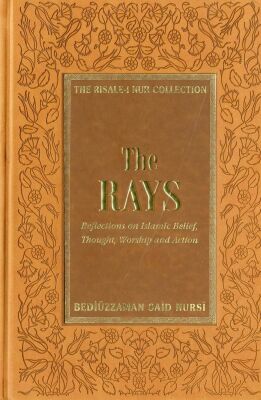 The Rays - 1