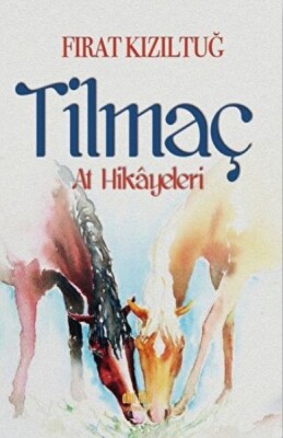 Tilmaç - Akıl Fikir Yayınları