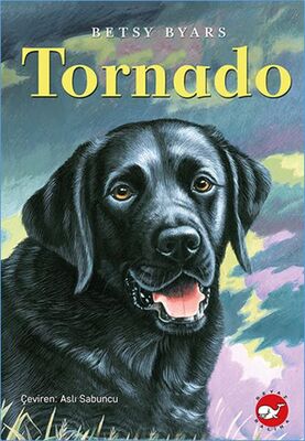 Tornado - 1