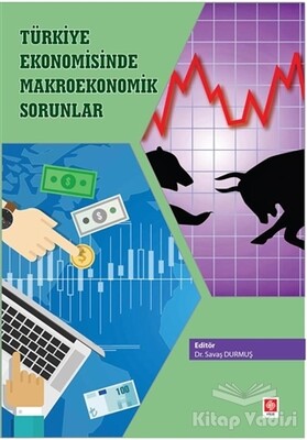 Türkiye Ekonomisinde Makro Ekonomik Sorunlar - Ekin Yayınevi