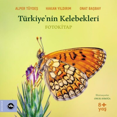 Türkiye’nin Kelebekleri - Vakıfbank Kültür Yayınları