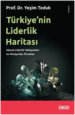 Türkiye'nin Liderlik Haritası - Ceo Plus