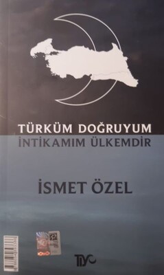 Türküm Doğruyum İntikamım Ülkemdir - Tiyo Yayınevi