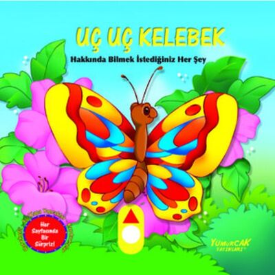 Uç Uç Kelebek - Hareketli Kitap - 1