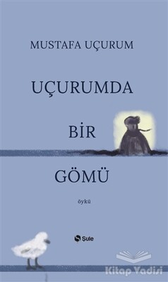 Uçurumda Bir Gömü - Şule Yayınları