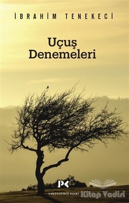 Uçuş Denemeleri - 1