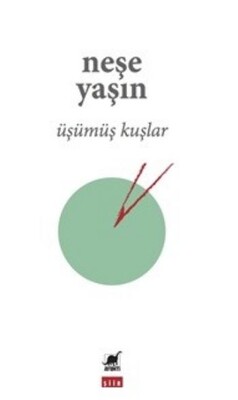 Üşümüş Kuşlar - Ayrıntı Yayınları