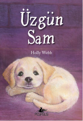 Üzgün Sam - 1