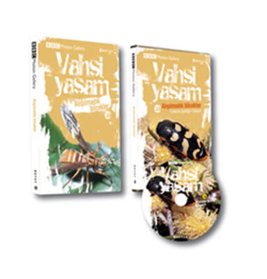 Vahşi Yaşam 2 - Alışılmadık Böcekler (Dvd ekli) - 1