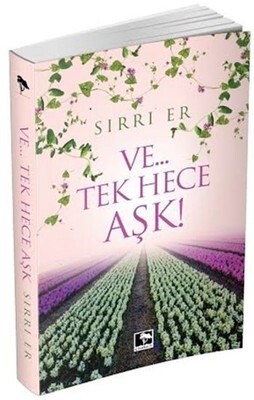 Ve...Tek Hece Aşk! - Çınaraltı Yayınları