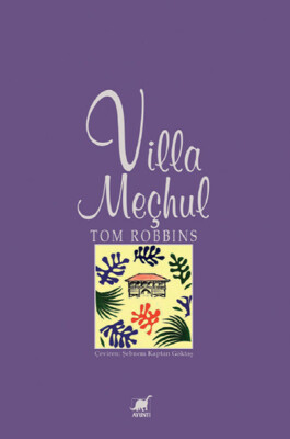 Villa Meçhul - Ayrıntı Yayınları