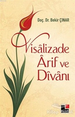Visalizade Arif ve Divanı - Kesit Yayınları