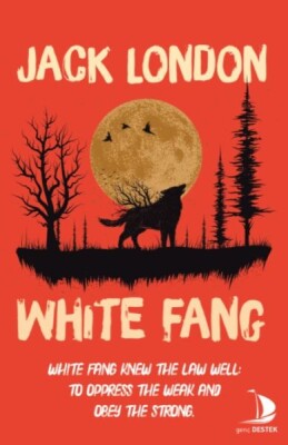 White Fang - Genç Destek