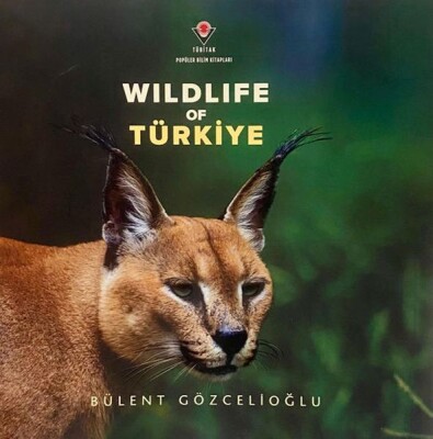Wıldlıfe Of Türkiye - Tübitak Yayınları