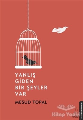 Yanlış Giden Bir Şeyler Var - Destek Yayınları