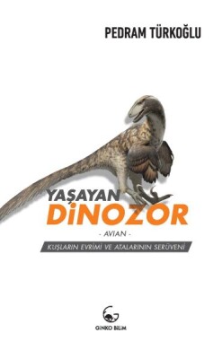 Yaşayan Dinozor - Avian - Ginko