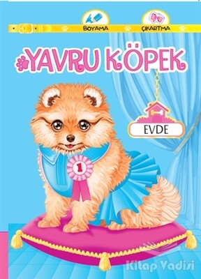 Yavru Köpek Evde - Koloni Çocuk