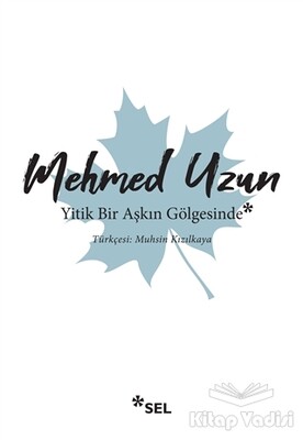 Yitik Bir Aşkın Gölgesinde - Sel Yayınları