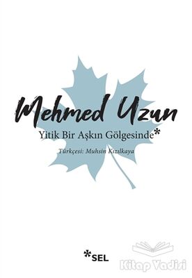 Yitik Bir Aşkın Gölgesinde - 1