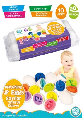 Yumurta Eşleştirme Sayılar - Circle Toys