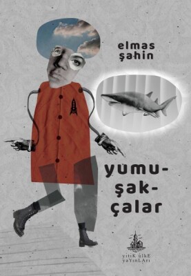 Yumuşakçalar - Yitik Ülke Yayınları