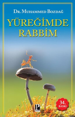 Yüreğimde Rabbim - Pozitif Yayınları